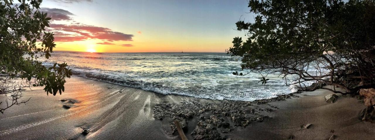 Villa Ethir Tamarindo Buitenkant foto