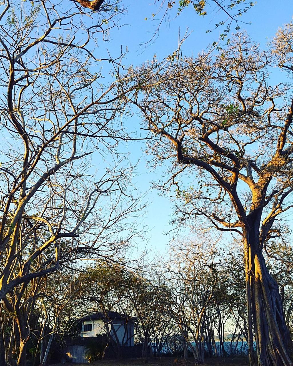 Villa Ethir Tamarindo Buitenkant foto